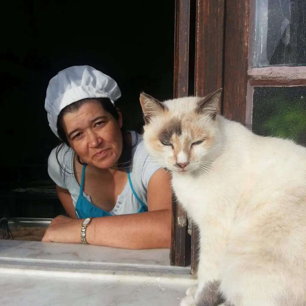 Dina in a white chef hat and blue apron, perhaps preparing food for a guesthouse, leans on a windowsill beside a light-colored cat basking in sunlight. Both look at the camera, the cat squinting contentedly.